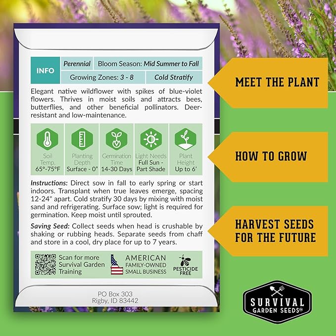 Survival Garden Seeds Blue Vervain Seeds for Planting (Verbena Hastata) | North American Native Wetland Wildflower | Butterfly Magnet - 1 Pack