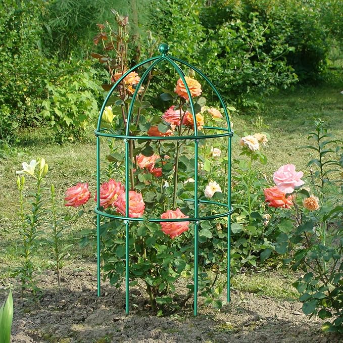 DoCred 6 Pack Plant Support Cage Large Peony Cages and Supports Peony Cage Obelisk Trellis for Climbing Plants Tomato Cages Plant Supports for Outdoor Plants Garden Decor, Green