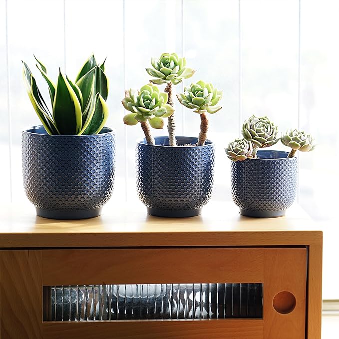 4 + 5 + 6 Inch Ceramic Pots for Indoor Plants, Succulents Plant Pots, Orchid Flower Pot with Drainage Hole, Modern Clay Stoneware Planters, Set of 3 (Dusty Blue, 4+5+6 Inch)