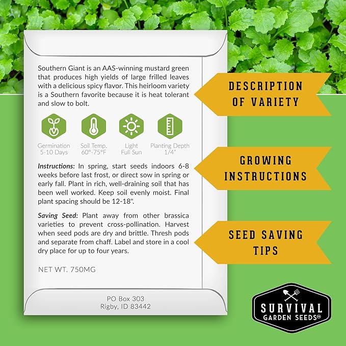Southern Giant Mustard Green Seeds for Planting – Heirloom Non-GMO Spicy Greens, Heat Tolerant and Slow to Bolt for Home Vegetable Gardens - Survival Garden Seeds (1 Pack)