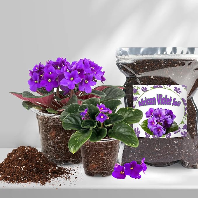 Organic African Violet Potting Mix, Indoor Plants Potting Mix for All Potted Saintpaulia, Grow Healthy houseplants Indoors