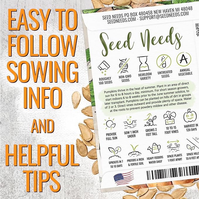 Seed Needs Fairytale Pumpkin Seeds for Planting | Non-GMO Heirloom & Untreated | Bulk French Pumpkins Seed to Plant an Outdoor Home Grown Pumpkin Patch