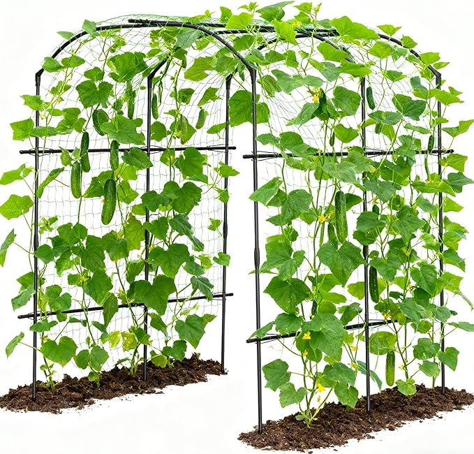 SUNYRISY Garden Arch Trellis for Climbing Plants Outdoor Gardening, 87" H x 70" L x 75" W Metal Core Tall Plant Support for Raised Bed Planting Cucumber Tomato Flowers Vegetables