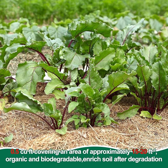 PJT Organic Garden Straw,Biodegradable Straw Mulch for Vegetable Garden,Hay for Grass Seed Covering,Mulch for Landscaping Seed Covering,Thoroughly Cleaned and Weed Seed Free(0.5 cu ft,4 lbs)