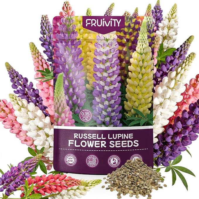 Russell Lupine Seeds (0.35oz - 1000+ Seeds) - Mixed Color Perennial Wildflower - Lupinus polyphyllus - Non-GMO Heirloom Seeds for Planting, Attracts Bees & Hummingbirds,