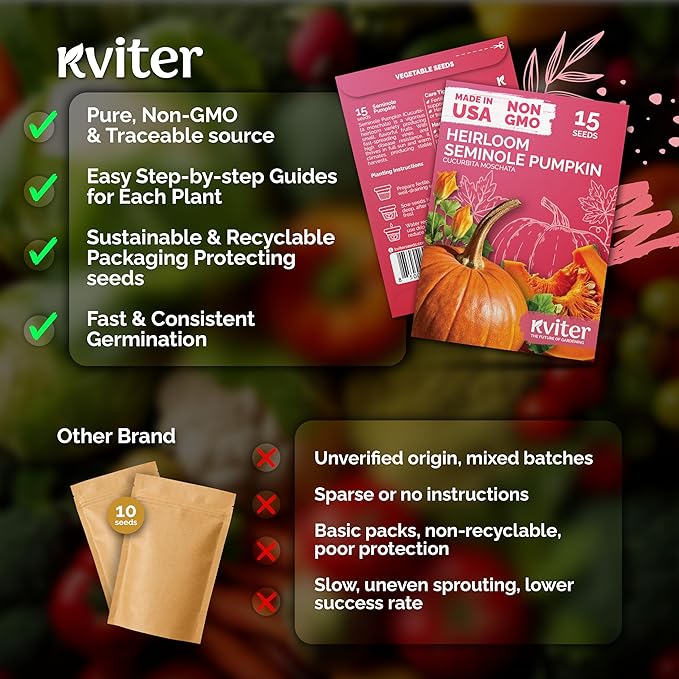 KVITER 15 Seminole Pumpkin Seeds for Planting (Cucurbita Moschata) - Heirloom Pumpkin Seeds Organic for Indoor & Outdoor Planting, Non-GMO Mini Pumpkins Vegetable Seeds for Planting