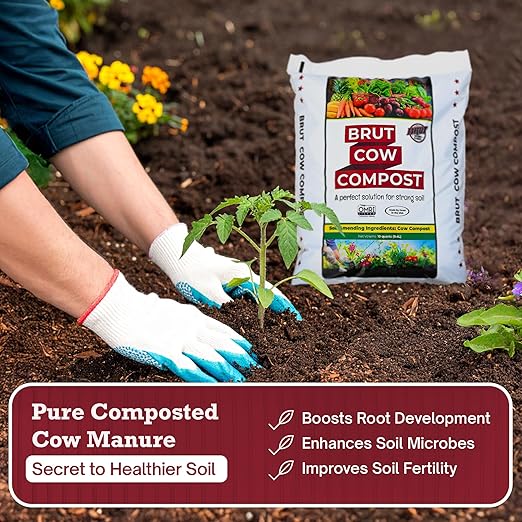 Brut Cow Compost – Nutrient-Rich Composted Cow Manure Organic Soil Amendment – 100% Pure Compost, Additive-Free Fertilizer for Vegetable Gardens, Flowers, Lawns & Indoor Plants – 1 Cubic Ft