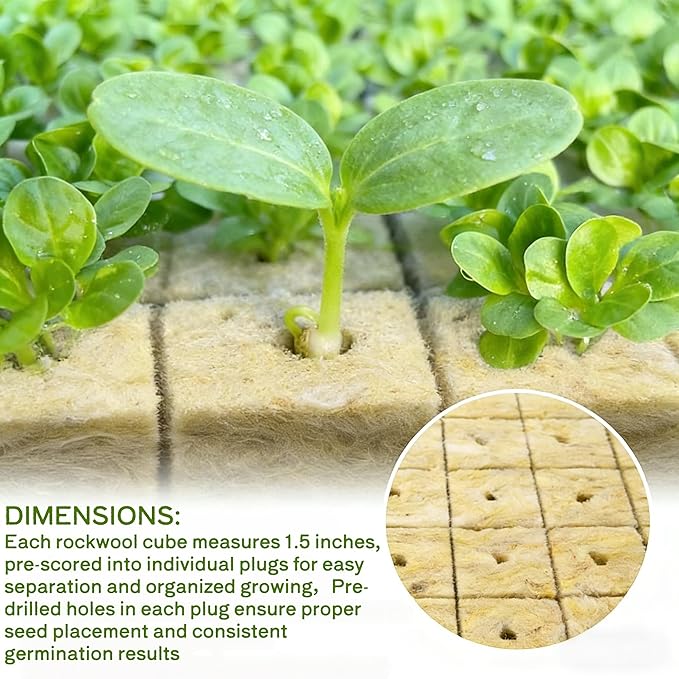 1.5 Inch Rockwool Cubes for Hydroponics Seed Starter,(2 pcs, 98 Plugs in Total) Rock Wool Planting Cubes Hydroponic Garden Grow Plugs for Soilless Cultivation Plants Cutting Germination Clone