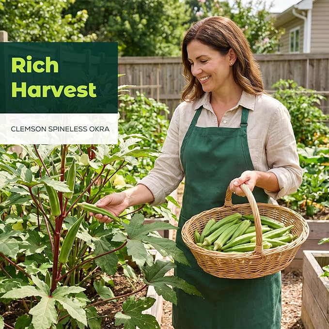 Clemson Spineless Okra Seeds for Planting, 120 Non-GMO Heirloom Seeds — Heat-Tolerant & High-Yielding, Fast Growing Vegetable Seeds for Outdoor Gardens
