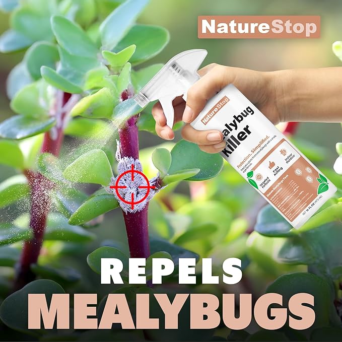 Mealy Bug Killer 16oz