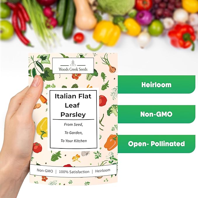 Italian Flat Leaf Parsley Seeds for Planting – Heirloom, Non-GMO Flat Leaf Parsley Seeds for Indoor & Outdoor Herb Gardens, Culinary Herb Seeds | Woods Creek Seeds (3)