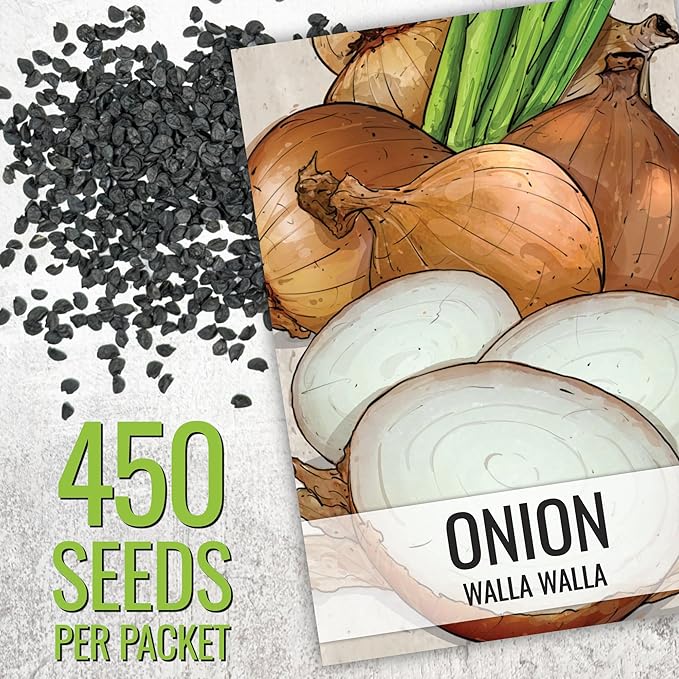 Seed Needs Onion Seeds for Planting Walla Walla Long Day Onions - Non-GMO Heirloom & Untreated Vegetable Seeds to Plant an Outdoor Home Grown Veggie Garden (5 Packs)