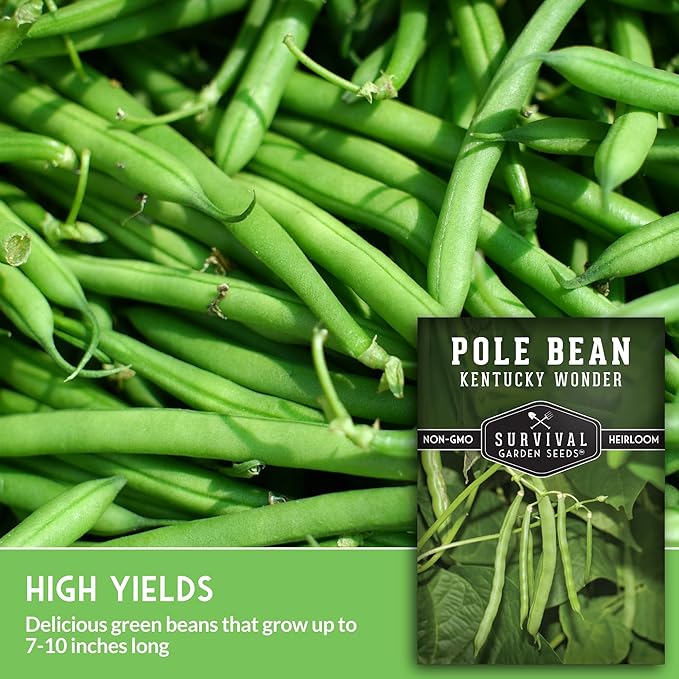 Survival Garden Seeds - Kentucky Wonder Pole Bean Seed for Planting - 5 Packets with Instructions to Plant and Grow Green Snap Beans in Your Home Vegetable Garden - Non-GMO Heirloom Variety