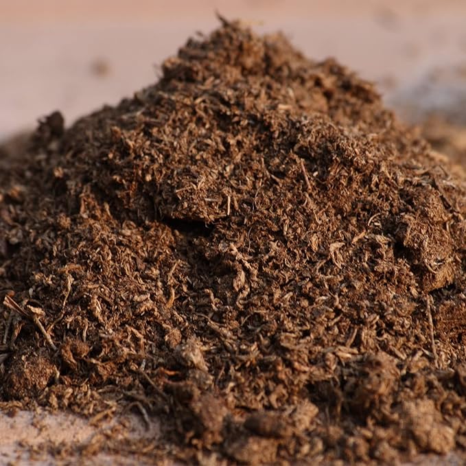 Organic Sphagnum Peat Moss, Added to Soil and Enriches Plant Roots, Gardening Soil Amendment and Carnivorous Plant Soil Media(1qt)