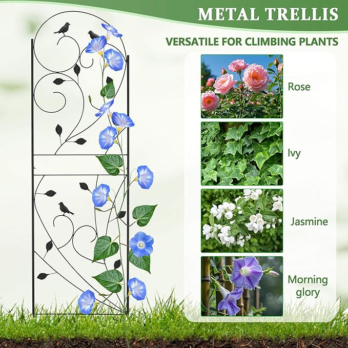 Garden Trellis for Climbing Plants, 71" H x 20" W, 2 Pack Heavy-Duty Metal Garden Trellis, Black Coated Rustproof Trellis for Plants Outdoor, Roses, Ivy, Flowers, and Vines