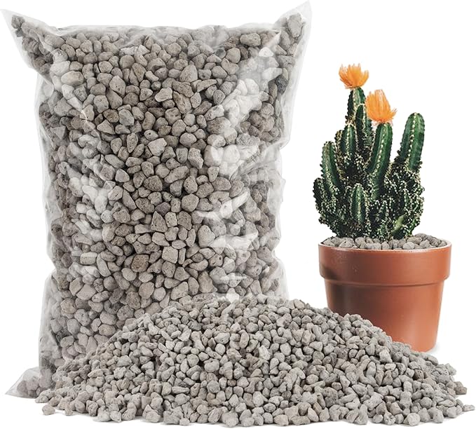Sukh Horticultural Pumice Stone - Pumice Stone for Plants Succulent Cactus Bonsai Orchid Soil Amendment 410g