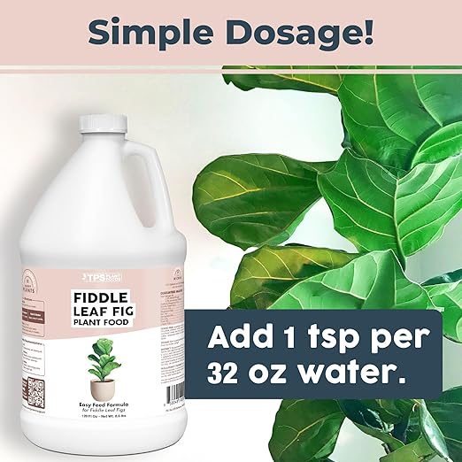 Fiddle Leaf Fig Plant Food for All Fig and Other Ficus Trees, Liquid Houseplant Fertilizer, 1 Gallon (128 oz)