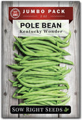 Sow Right Seeds - Bulk Kentucky Wonder Pole Bean Seeds for Planting - 2 Ounce, 170 Seeds - Non-GMO Heirloom Jumbo Pack with Instructions to Plant a Home Vegetable Garden - Bountiful Harvest of Beans