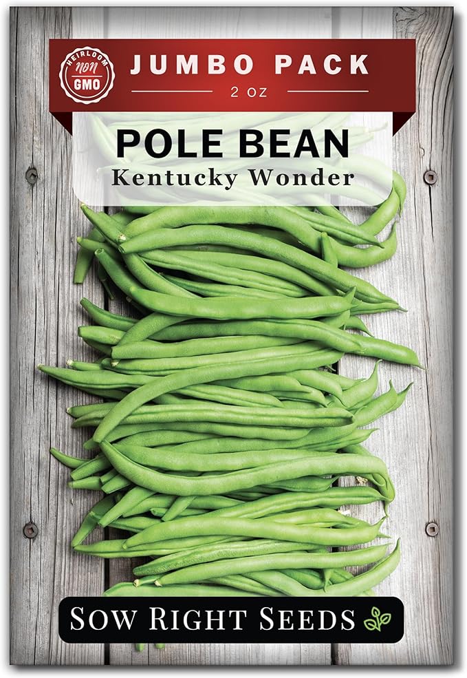 Sow Right Seeds - Bulk Kentucky Wonder Pole Bean Seeds for Planting - 2 Ounce, 170 Seeds - Non-GMO Heirloom Jumbo Pack with Instructions to Plant a Home Vegetable Garden - Bountiful Harvest of Beans