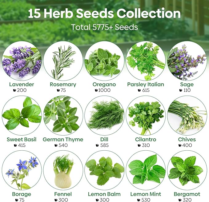 Groundio 15 Herb Seeds Variety Pack | 5,700+ Non-GMO Heirloom Seeds for Planting Indoor & Outdoor | Culinary Collection | Grow Your Own Garden | Gardening Gift