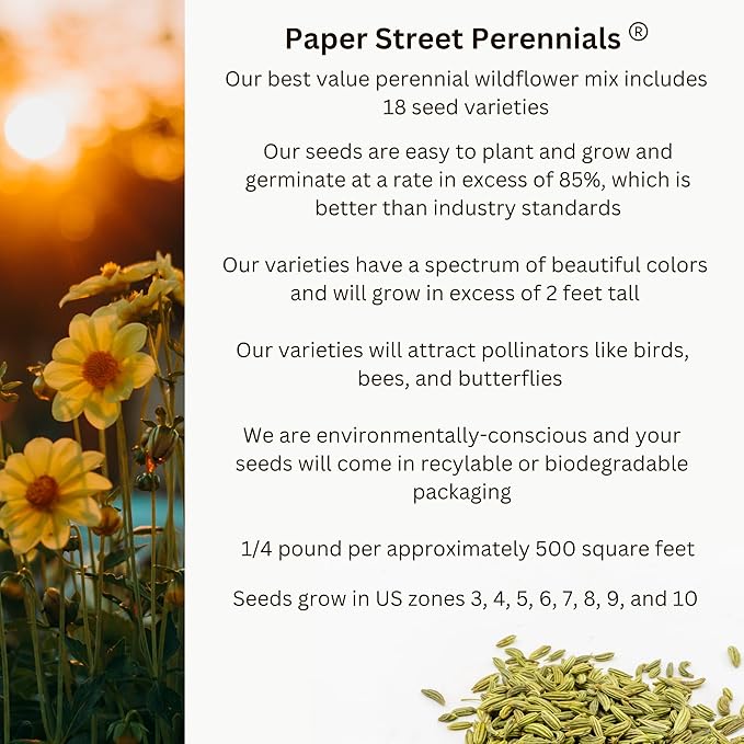 United States Nationwide Bulk Perennial Wildflower Seed Mix - All U.S. Zones - Plant in Spring and Fall (1 Pound Covers 2,000 Square feet) (1 Pound)