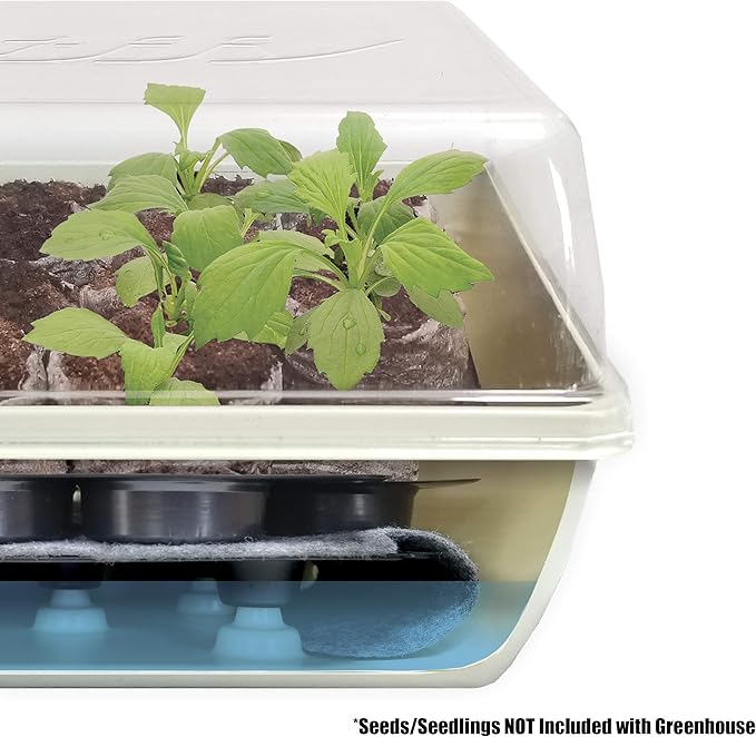 Jiffy T14H Seed Starter Kit, No Size, Clear/Black