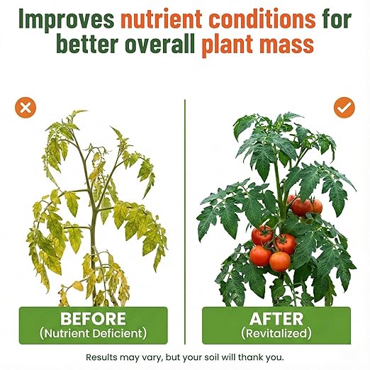 Organic Kelp Fertilizer by GS Plant Foods - Omri Certified (1 Quart) - Kelp Fertilizer for Gardens, Lawns & Soil