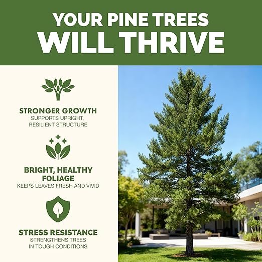 Pine Tree Fertilizer - for Leyland Cypress & Evergreen Tree Care - Pushes Rapid Root Growth for Strong, Wind-Resistant Yard Trees - Liquid Plant Food, 32 oz