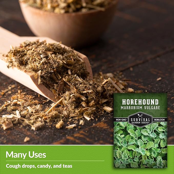 Survival Garden Seeds - Horehound Seeds for Planting - 1 Packet with Instructions to Plant and Grow Beneficial Marrubium Medicinal Herbs in Your Home Vegetable Garden - Non-GMO Heirloom Variety