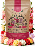 Hollyhock Flower Seeds Pack 1 oz - Over 3,000 Non-GMO Heirloom Hollyhock Seeds for Planting Indoor & Outdoor Gardening, Flower Seed for Home and Garden in Individual Packet, Floral Perennial Mix