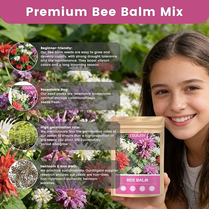 4000+ Bee Balm Seeds for Planting, Color Mix Native Wildflower Seeds, Heirloom & Open Pollinated Perennial Flower Seeds to Plant Outside Flower Herb Garden