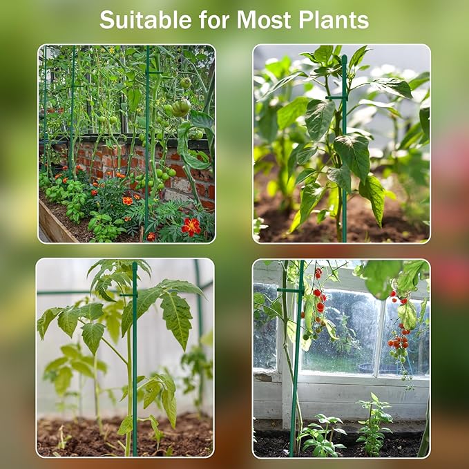 35 Pcs Plastic Plant Support Stakes Kit - 10 Stakes (30cm/12in), 20 Clips & 5 Links Adjustable Plant Support Sticks for Indoor Outdoor Garden Potted Rose Tomato Vegetables