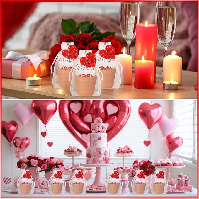 Ctosree 24 Sets Valentine's Day Gifts Bulk Heart Seed Packet Valentine's Day Party Favor for Guests with Seed Packets Flowerpot Tags Organza Bags for Galentine Valentines Exchange Gifts