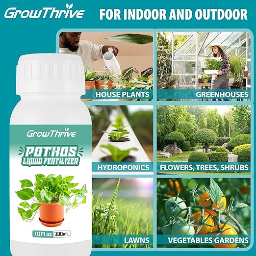 Professional Liquid Pothos Plant Fertilizer, Liquid Plant Food for Houseplants, Snake Plants, Peace Lilies, Flowers, Multi-Purpose Blend & Gardening Supplies 10oz(300ML)