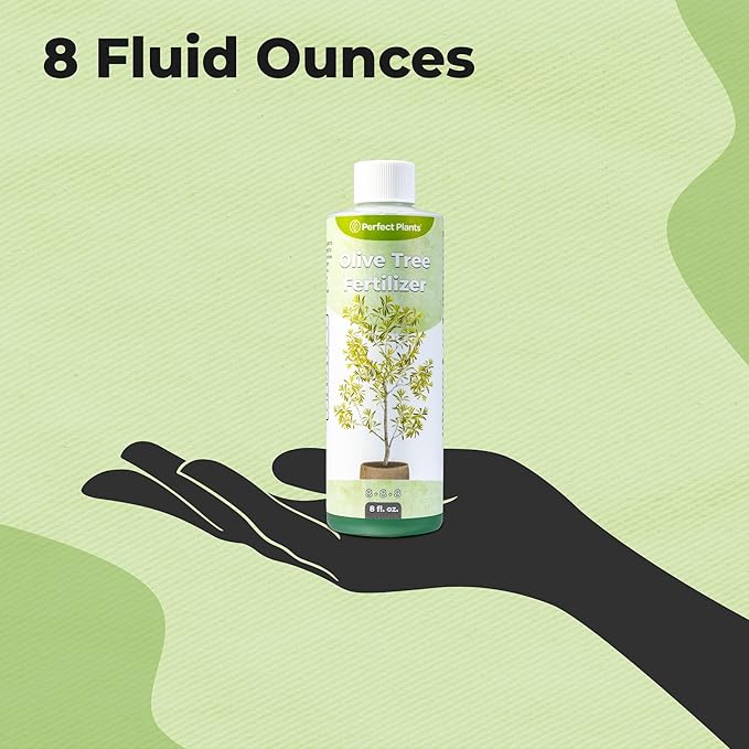 Liquid Olive Tree Fertilizer by Perfect Plants | Olive Plant Food for Real Indoor Trees or Outdoor Growing | High Level Nutrient Content to Boost Flowering & Fruit Production