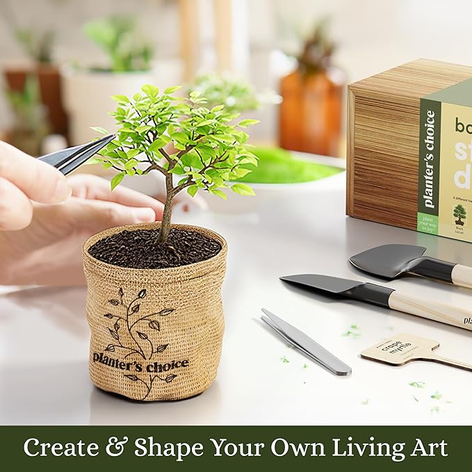 Planter's Choice Bonsai Tree Starter Kit - Unique Easter Gifts for Women, Men - Birthday Gifts for Adults - Indoor Live House Plants - DIY for Adults Craft Kits - Hobby Gift for Gardening Lovers