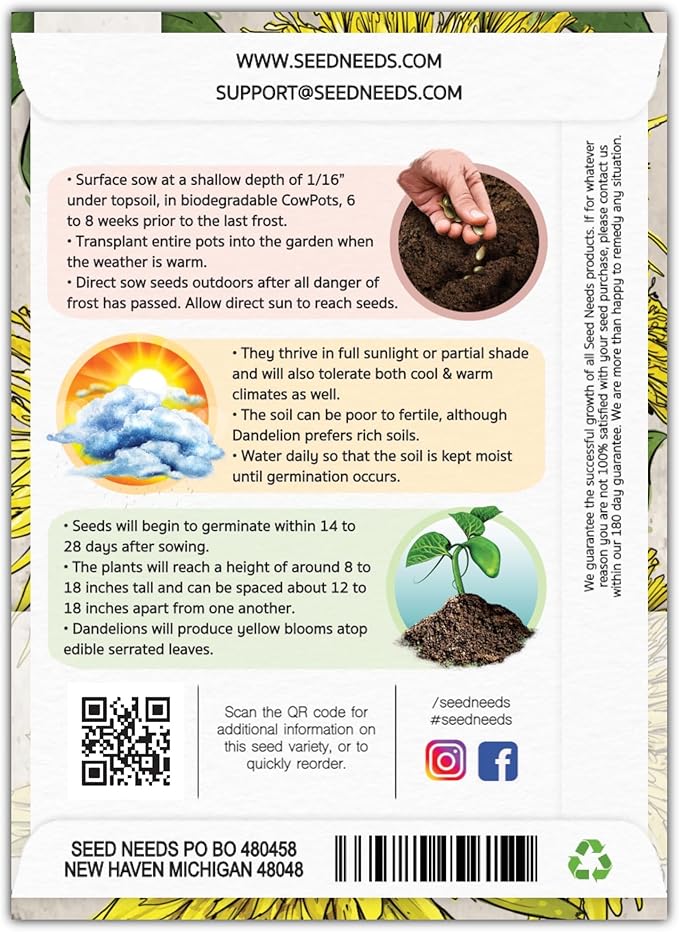 Seed Needs Dandelion Seeds for Planting Taraxacum officinale - Non-GMO Heirloom & Untreated Perennial Herbs - Grow Salad Greens, Food for Tortoises, Rabbits & Bearded Dragons (1 Pack)