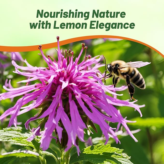 Outsidepride Lemon Bee Balm Seeds - 1/4 lb. Annual, Easy to Grow & Pollinator Friendly Monarda Citriodora Flower Seeds for Planting Fragrant Lavender Pink Blooms, Ideal for Teas & Potpourri