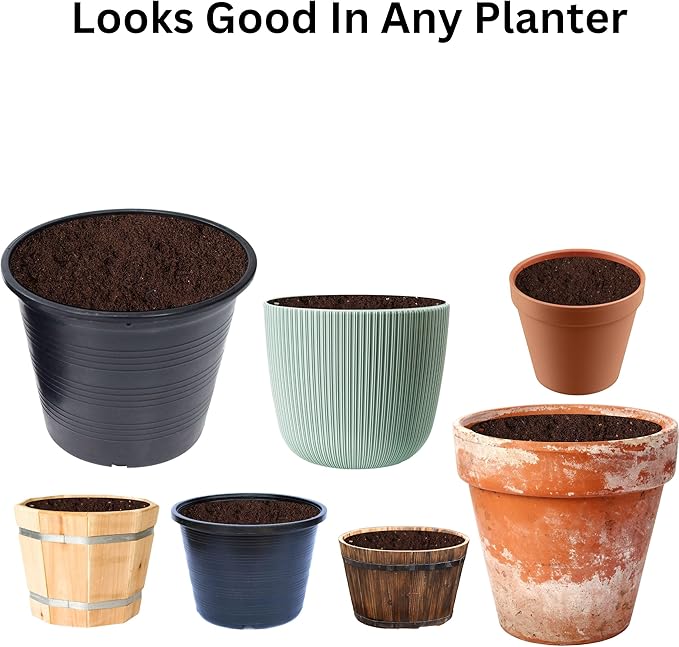 Premium Potting Soil for Indoor Plants, Outdoor Gardens, Vegetables – Ideal Planting Soil, Tropical Mix and Garden Soil 2 Quarts