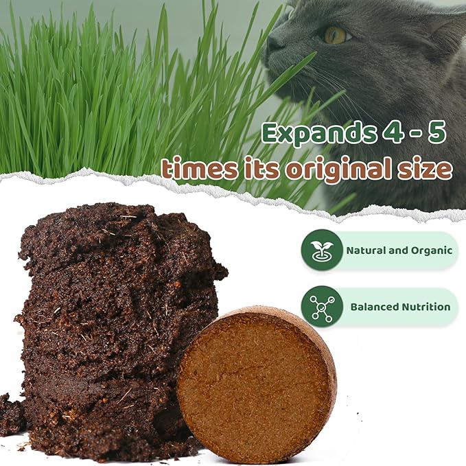 Organic Potting Soil for Indoor Cat Grass, Great Seedling Soil for Wheat Grass, Bermuda, Catnip, and All Indoor Herb Plants