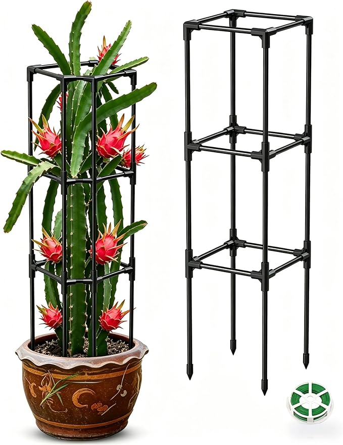 2PCS Dragon Fruit Trellis for Climbing Plants Indoor Outdoor, Heavy Duty Metal Adjustable Vertical Garden Support for Indoor Outdoor Potted Plants, Tomato, Cactus, Roses,Vines(10 * 10 * 47inch,2PC)