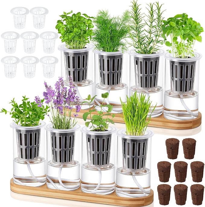 8 Pcs Hydroponic Herb Planter Growing Kit Self Watering Glass Vase with Wooden Stand Herb Garden Starter Kit for Propagating Hydroponic Plants Centerpiece Office Home Garden Decor