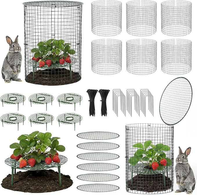 BreezeHug 6 Sets Plant Protectors from Animals with Strawberry Supports, 12x14 Inch Wire Plants Protector Cages with Detachable Covers & Zip Ties & Stakes for Strawberry Flower Vegetable Protection