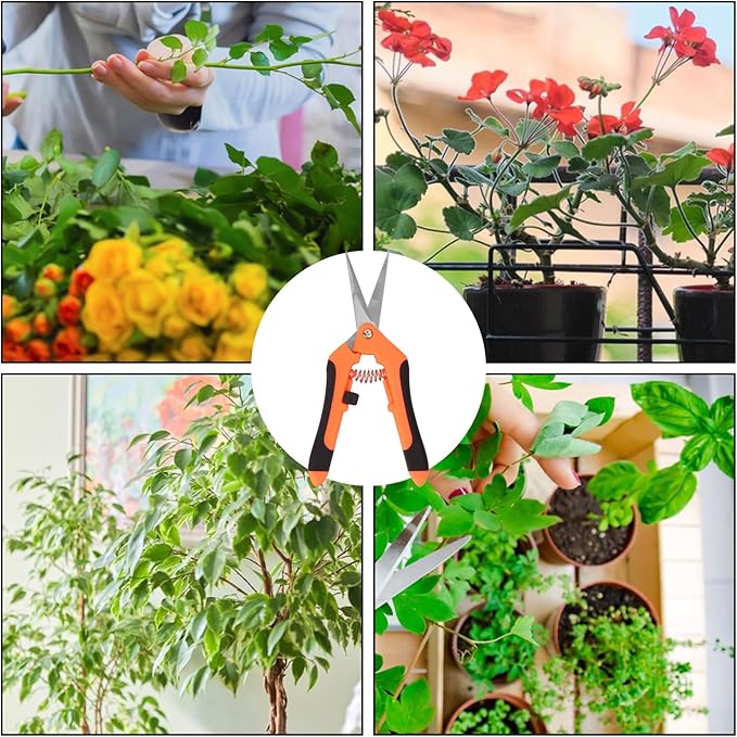 20 Pack 6.5 Inch Garden Pruning Scissors, Hand Pruner with Stainless Steel Blades, Sharp Point Gardening Shears Cutter, Gardening Pruning Shear, Supplies & Accessories(Orange)