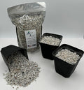 Lithops Soil Mix Perfect Potting Medium Proper Drainage Promotes Healthy Rooting Designed Specifically for Lithops (Grow Mix 2 Quarts)