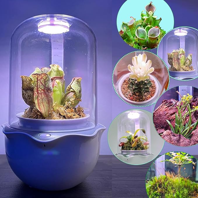 Smart Venus Fly Trap Terrarium Pot with Timer&Fan,Plant Terrarium Kit with Grow Light for Carnivorous,Butterwort, Venus Flytrap,Birthday Gardening for Women Garden Lover-No Plant