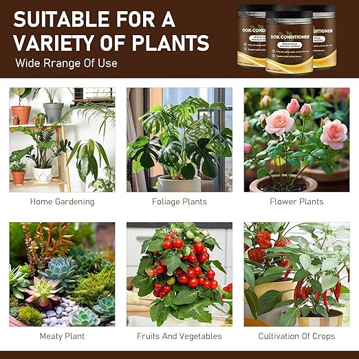 Premium Soil Activator & Liquid Fertilizer,Dirt Health Booster, Liquid Fertilizer for Indoor & Outdoor Plants for Raised Garden Beds, Potting Mix, and Seedling Compost (2 Bottle)