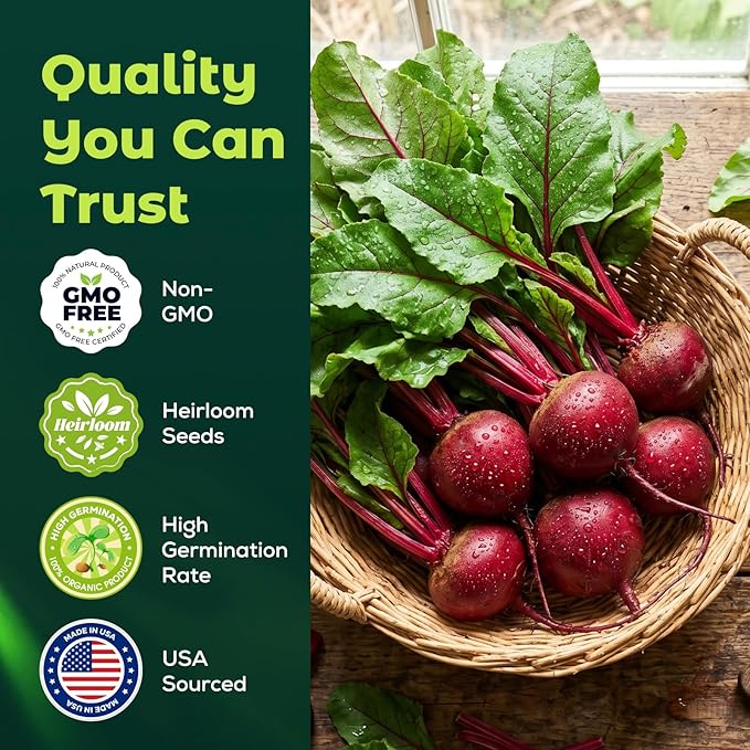 Detroit Dark Red Beet Seeds – 600 Heirloom Non-GMO Heirloom Seeds for Planting, Open-Pollinated Garden Vegetable Root Seeds for Home Gardens
