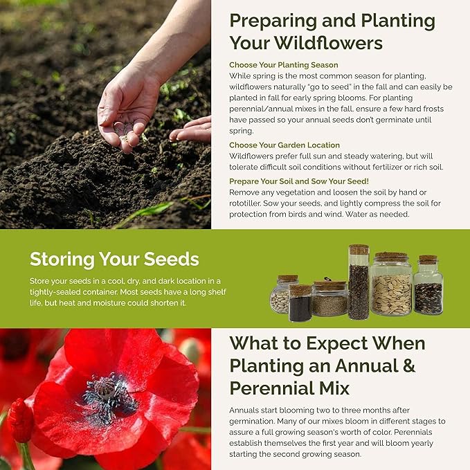 Eden Brothers Poppy Power Flower Mixed Seeds for Planting, 10 lb, 4,800,000+ Seeds with Red Corn, Iceland, California Poppy, Attracts Pollinators, Plant in Spring or Fall, Zone 3, 4, 5, 6, 7, 8, 9, 10