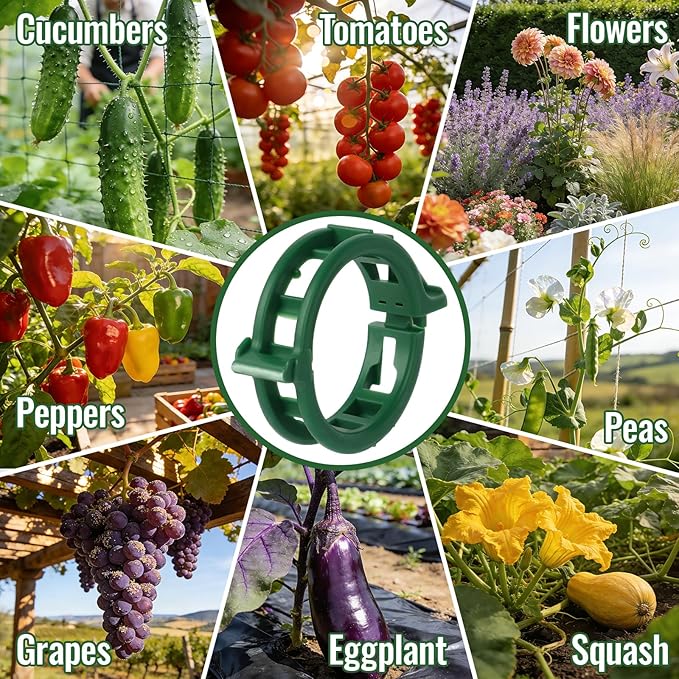300 Pcs Tomato Clips for Climbing Plants & Garden Clips | All-Season Durable Reusable Plant Supports for Cucumbers, Grapes and Vegetables (Green)